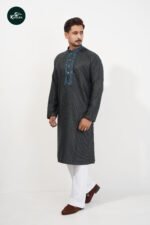 Premium Punjabi - Image 5