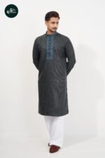 Premium Punjabi